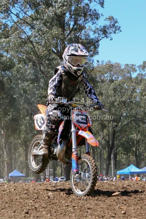 445x677 pixels (93K)